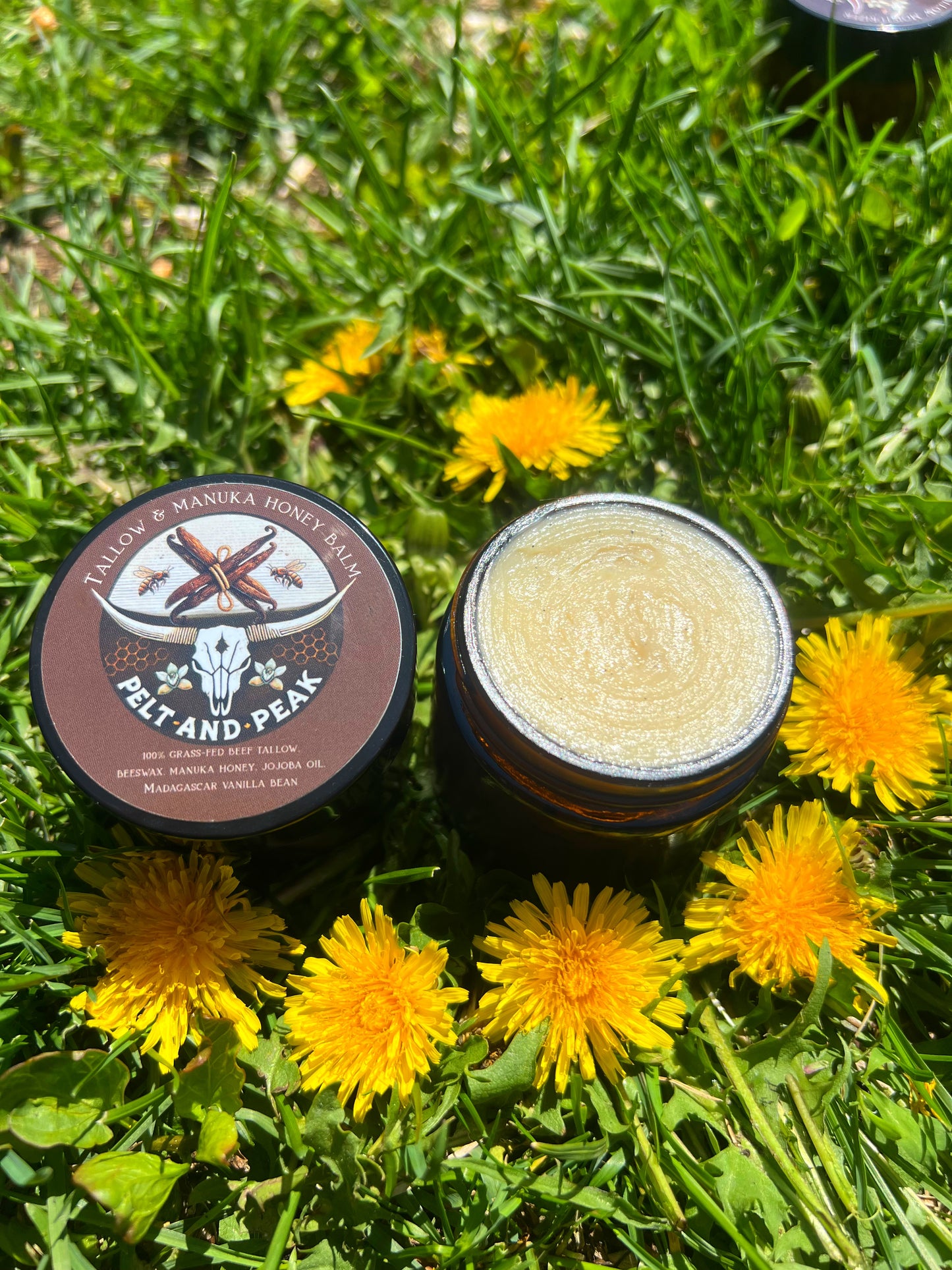 Vanilla Tallow Honey Balm - 2oz